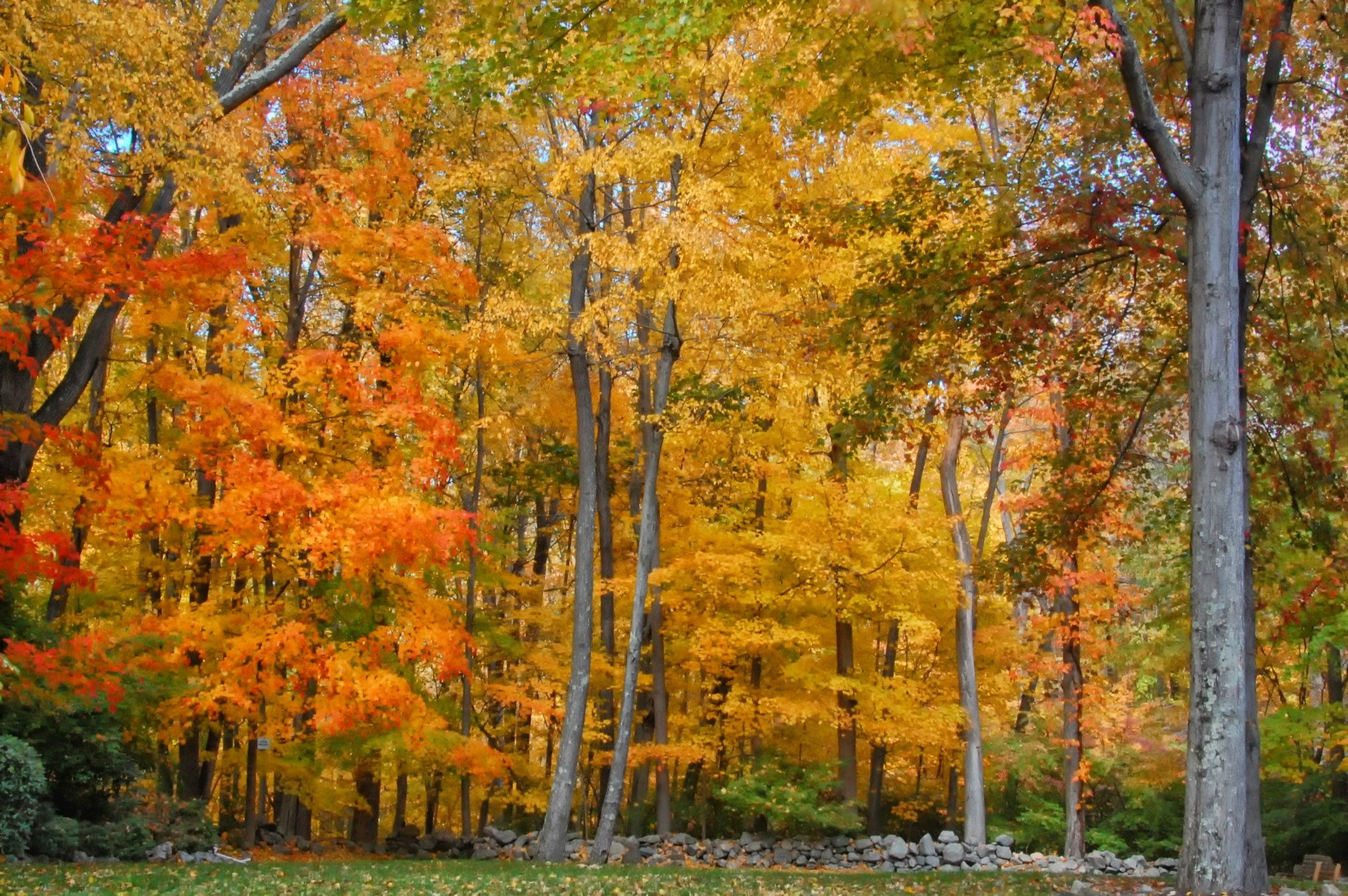 Fall