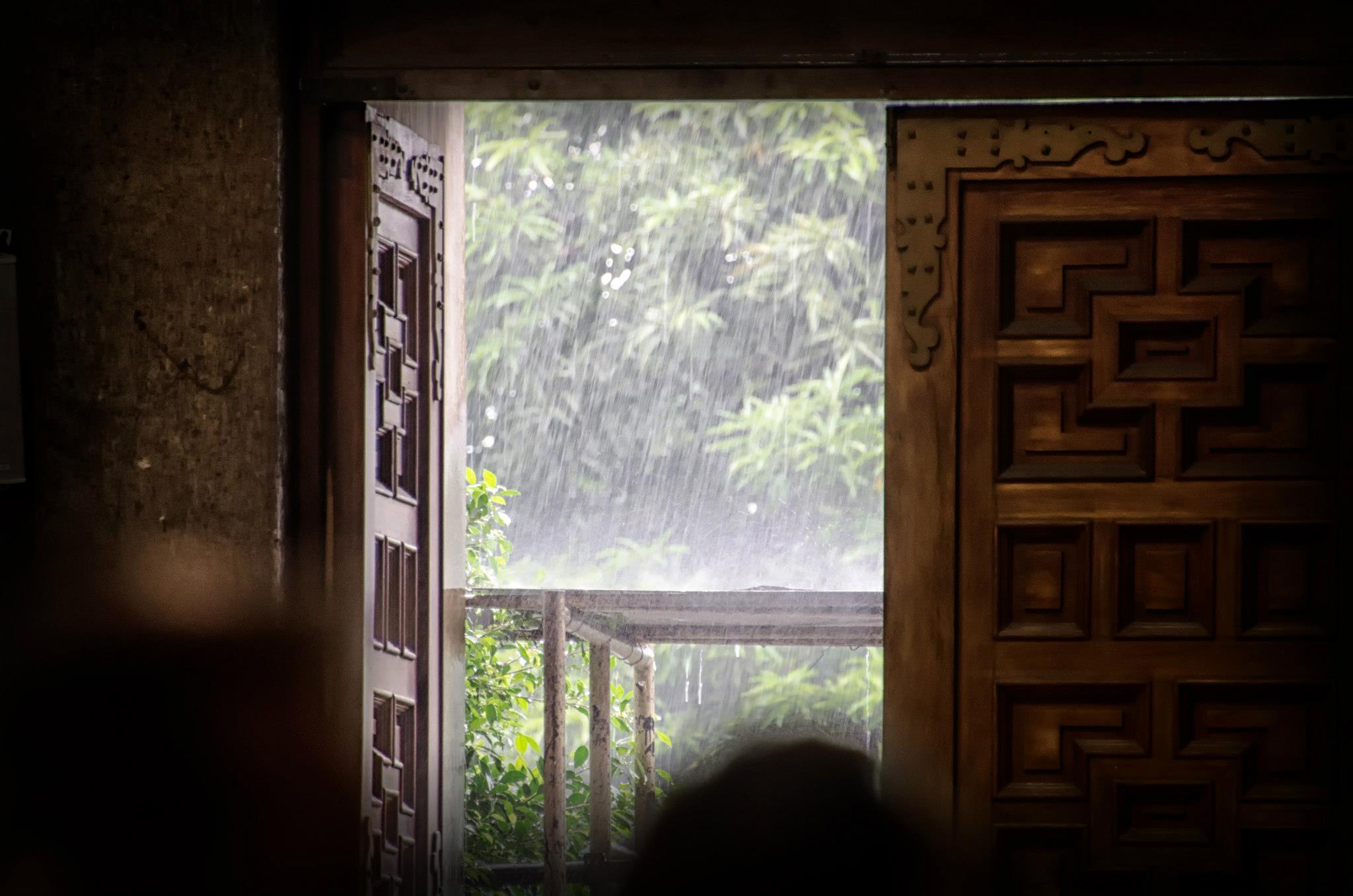 Rain in the Tropics